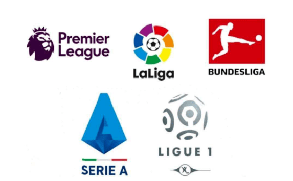 并多次在公 并多次在公